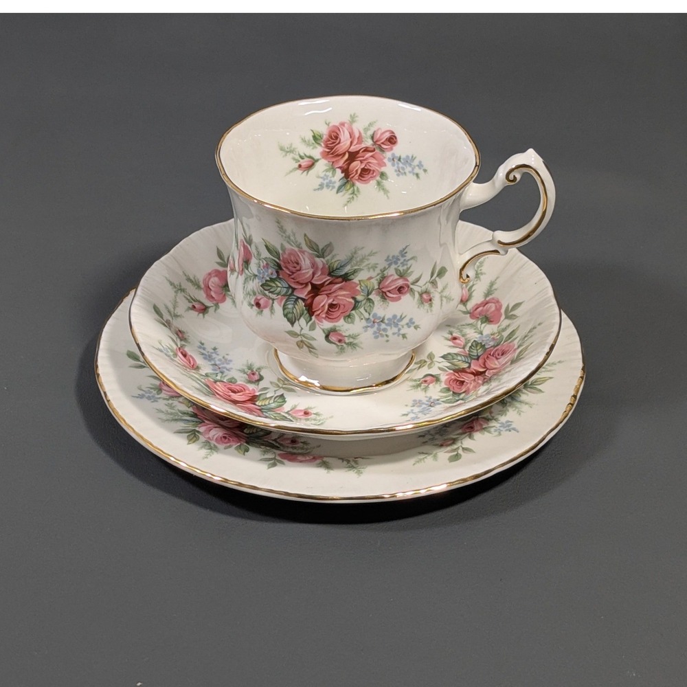 Royal Standard Rambling Rose Fine Bone China Tea Cup Saucer Plate Trio England
